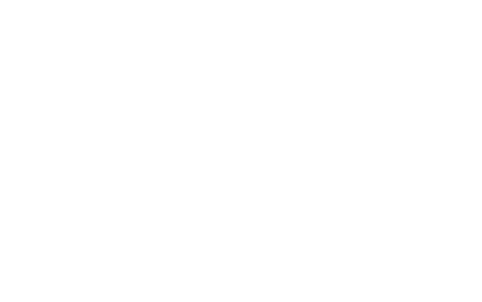 the morgan adams foundation