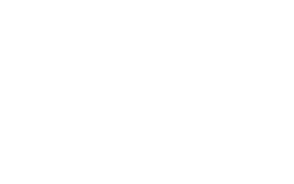 the morgan adams foundation