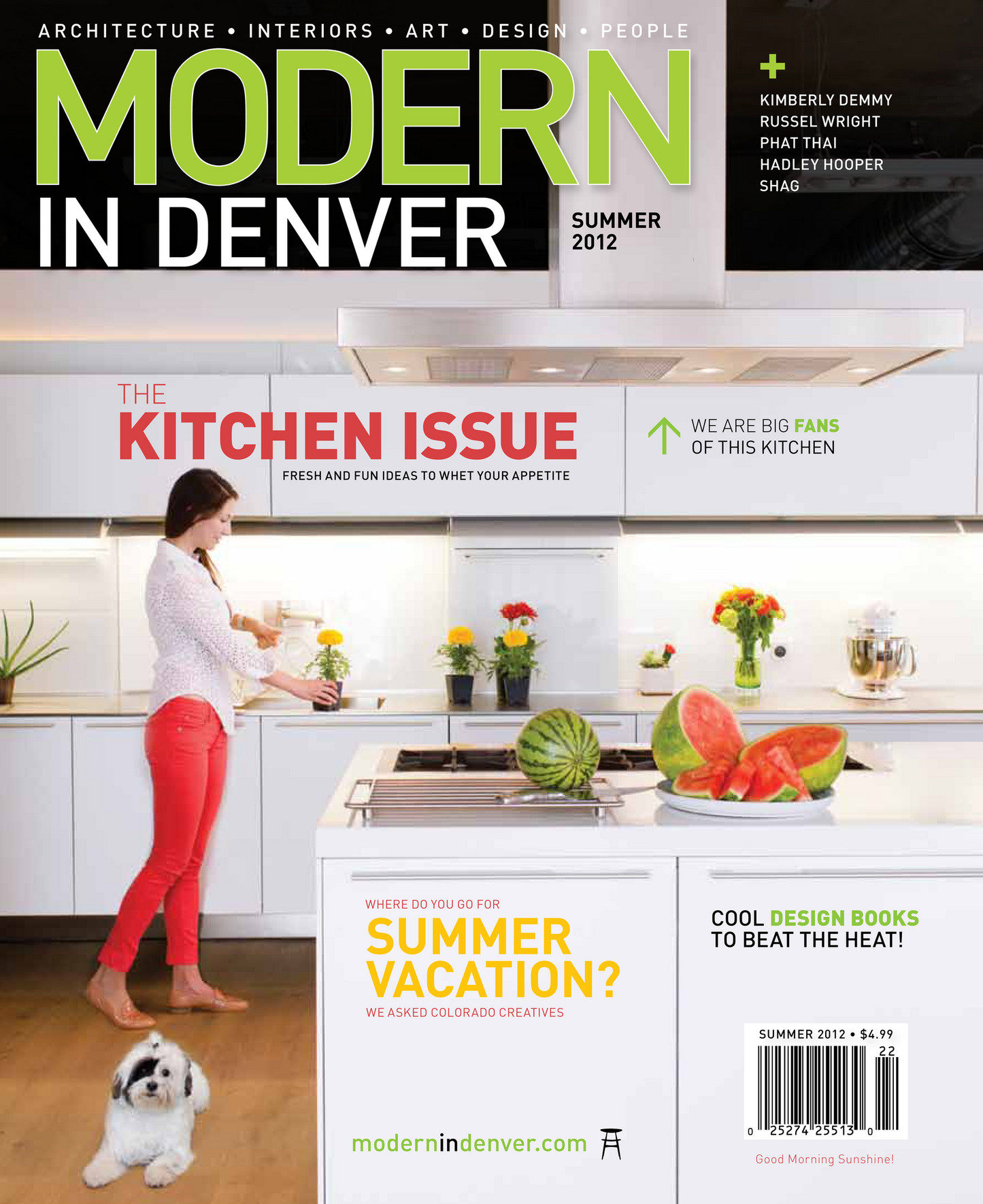 The Rise of Integrated Built-In Pantries: A Kitchen Essential